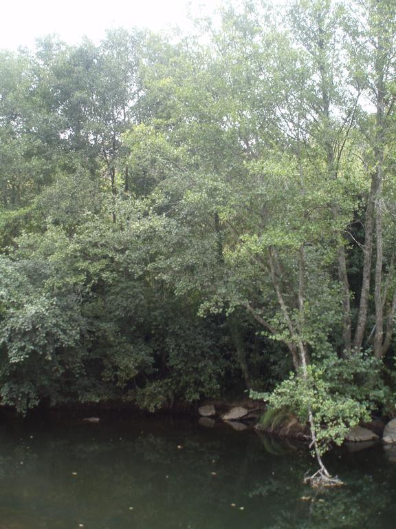 Moinho Da Ponte Velha Vendégház Bragança Kültér fotó